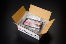 画像をギャラリービューアに読み込む, とらふぐあら