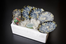 画像をギャラリービューアに読み込む, とらふぐ刺身個食セット