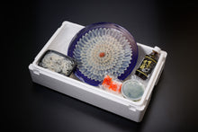 画像をギャラリービューアに読み込む, 菊盛りセット