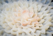 画像をギャラリービューアに読み込む, 天然とらふぐプレミアムセット(5〜6人前)