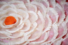 画像をギャラリービューアに読み込む, 牡丹盛り(5〜6人前)セット